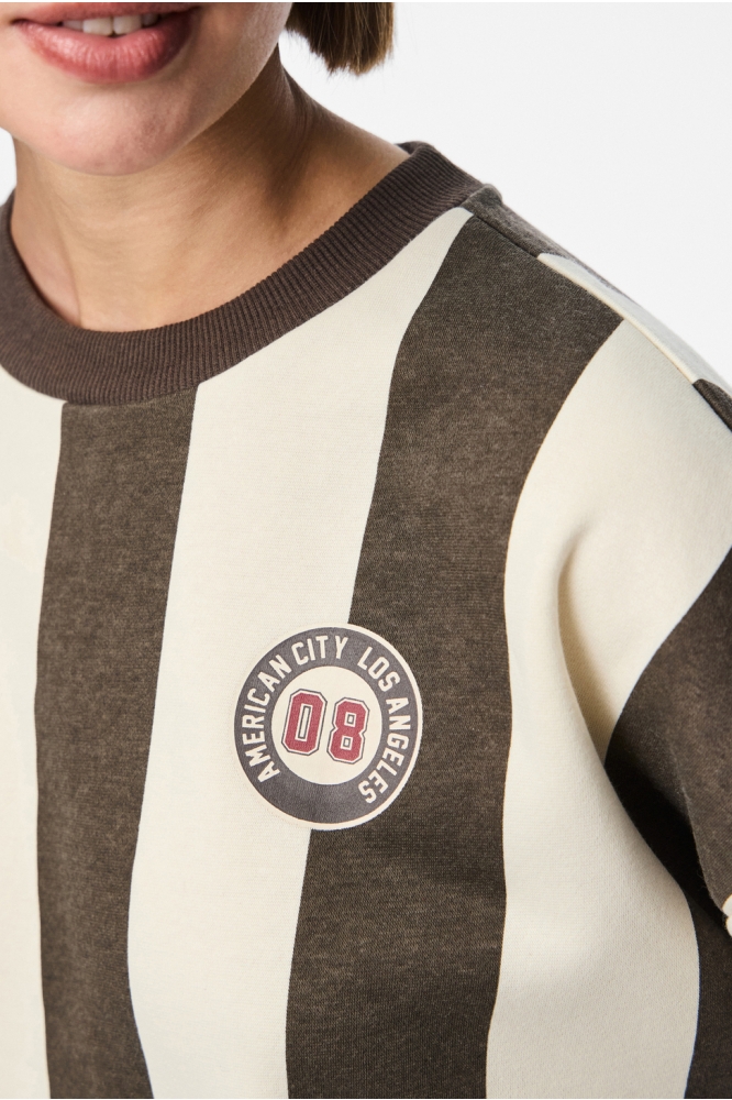PCFILUCCA LS O-NECK SWEAT D2D FSY 17161496 BIRCH/DELICIOSO